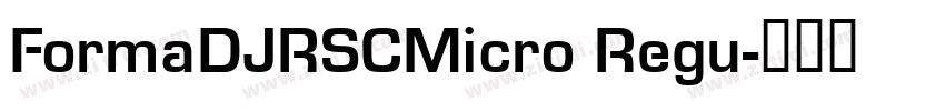 FormaDJRSCMicro Regu字体转换